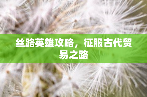 丝路英雄攻略，征服古代贸易之路