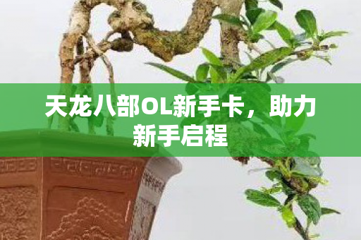 天龙八部OL新手卡，助力新手启程