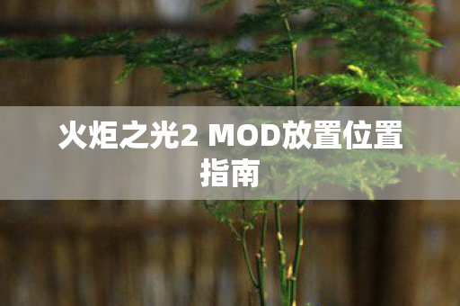 火炬之光2 MOD放置位置指南
