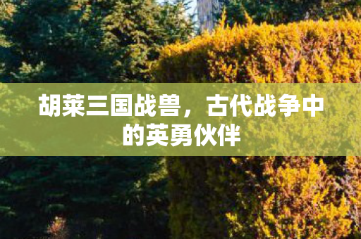 胡莱三国战兽，古代战争中的英勇伙伴