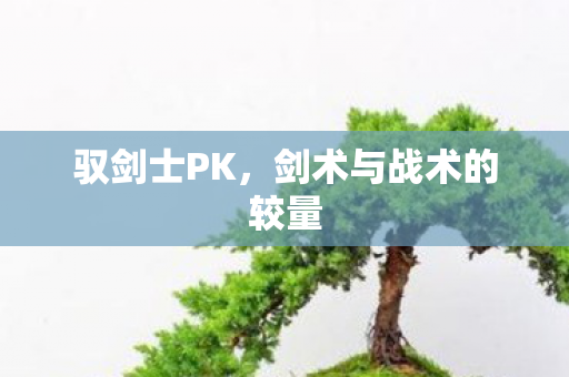 驭剑士PK，剑术与战术的较量