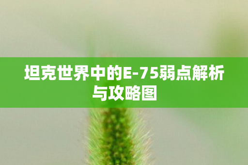 坦克世界中的E-75弱点解析与攻略图