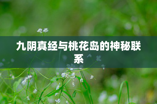 九阴真经与桃花岛的神秘联系