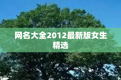 网名大全2012最新版女生精选