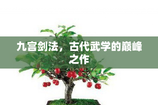 九宫剑法，古代武学的巅峰之作
