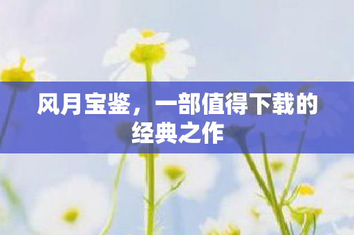 风月宝鉴，一部值得下载的经典之作