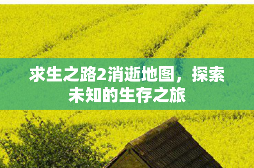 求生之路2消逝地图，探索未知的生存之旅