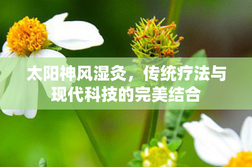 太阳神风湿灸，传统疗法与现代科技的完美结合