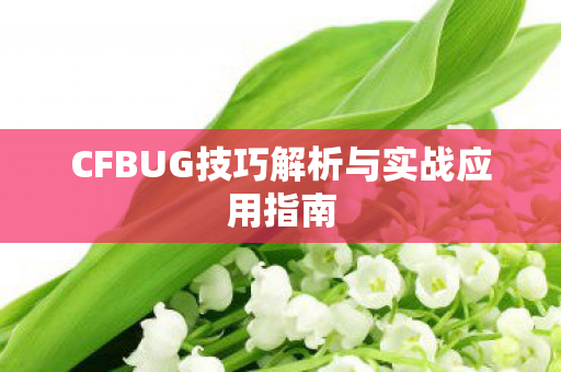 CFBUG技巧解析与实战应用指南