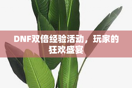 DNF双倍经验活动，玩家的狂欢盛宴