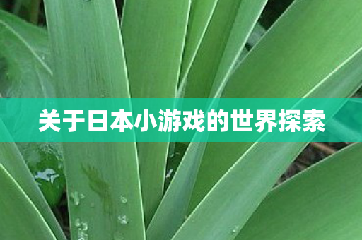 关于日本小游戏的世界探索
