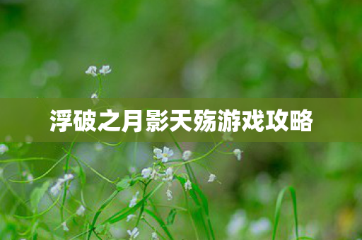 浮破之月影天殇游戏攻略