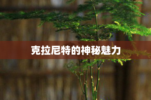 克拉尼特的神秘魅力