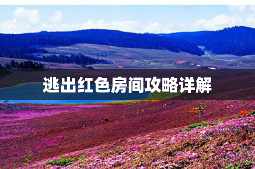 逃出红色房间攻略详解