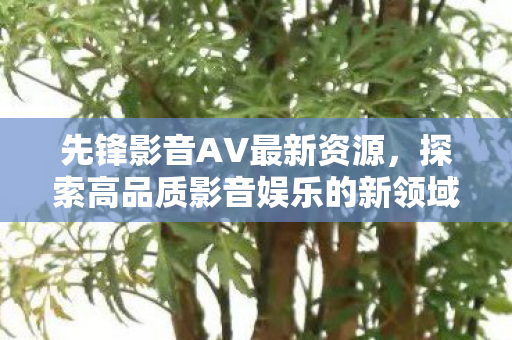先锋影音AV最新资源，探索高品质影音娱乐的新领域