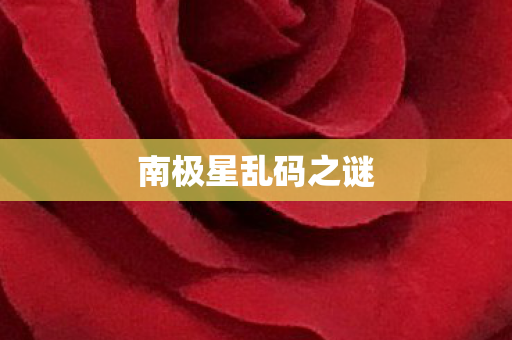 南极星乱码之谜