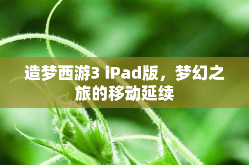造梦西游3 iPad版，梦幻之旅的移动延续