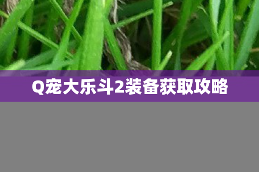 Q宠大乐斗2装备获取攻略