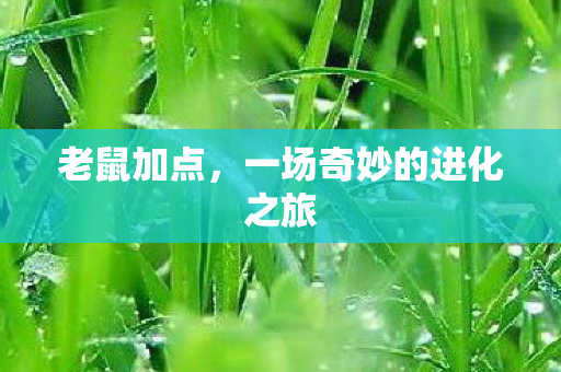 老鼠加点，一场奇妙的进化之旅