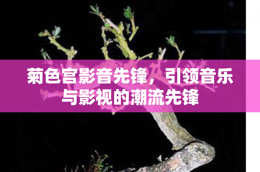 菊色宫影音先锋，引领音乐与影视的潮流先锋