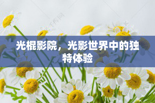 光棍影院，光影世界中的独特体验