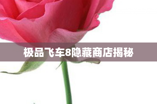 极品飞车8隐藏商店揭秘