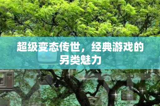 超级变态传世，经典游戏的另类魅力