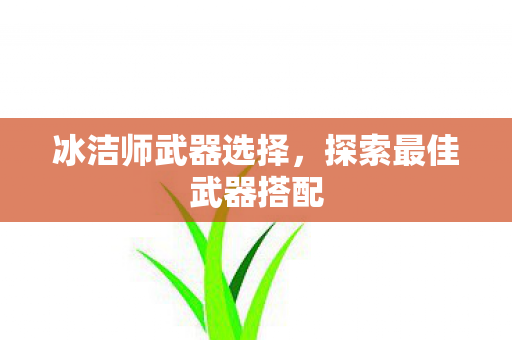 冰洁师武器选择，探索最佳武器搭配