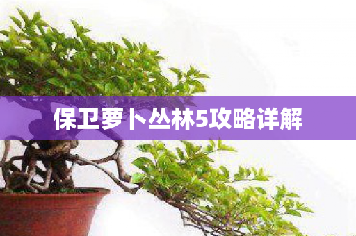 保卫萝卜丛林5攻略详解