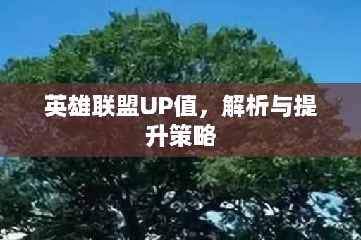 英雄联盟UP值，解析与提升策略