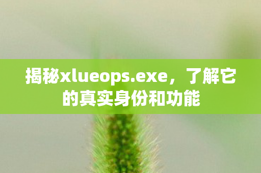揭秘xlueops.exe，了解它的真实身份和功能