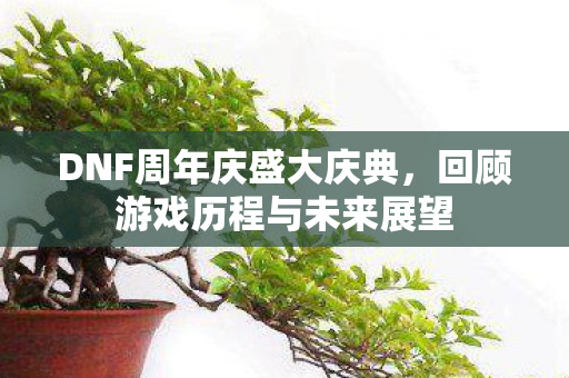 DNF周年庆盛大庆典，回顾游戏历程与未来展望