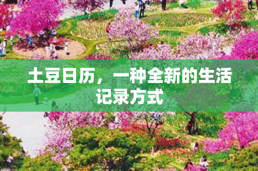 土豆日历，一种全新的生活记录方式