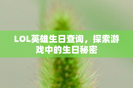 LOL英雄生日查询，探索游戏中的生日秘密