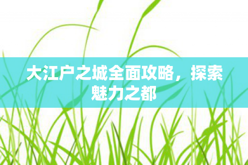 大江户之城全面攻略，探索魅力之都