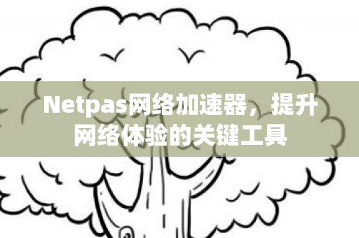 Netpas网络加速器，提升网络体验的关键工具