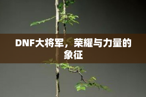 DNF大将军，荣耀与力量的象征