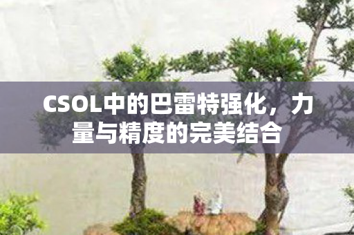 CSOL中的巴雷特强化，力量与精度的完美结合