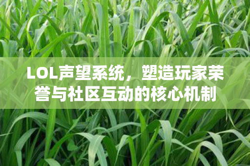 LOL声望系统，塑造玩家荣誉与社区互动的核心机制