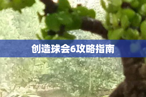 创造球会6攻略指南