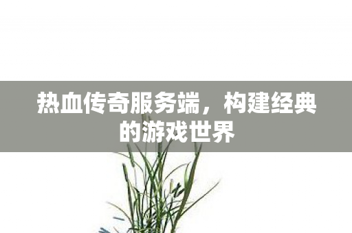 热血传奇服务端，构建经典的游戏世界