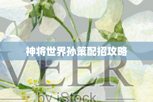 神将世界孙策配招攻略