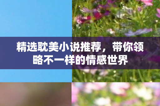 精选耽美小说推荐，带你领略不一样的情感世界