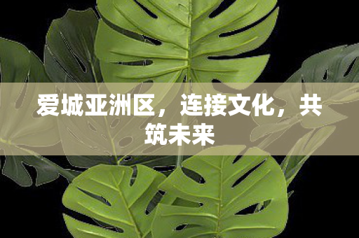 爱城亚洲区，连接文化，共筑未来