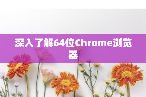 深入了解64位Chrome浏览器