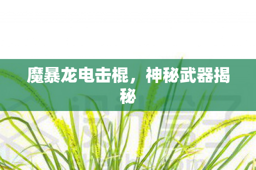 魔暴龙电击棍，神秘武器揭秘