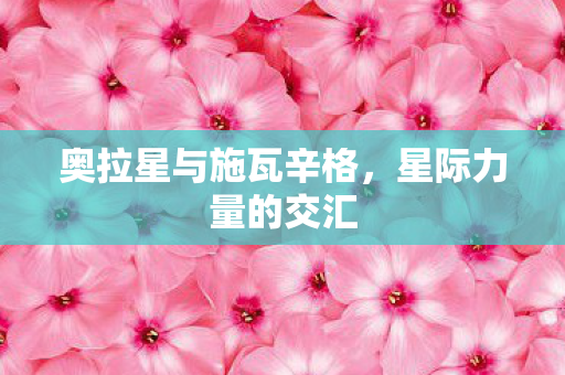 奥拉星与施瓦辛格，星际力量的交汇