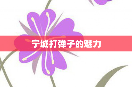 宁城打弹子的魅力