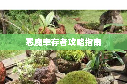 恶魔幸存者攻略指南