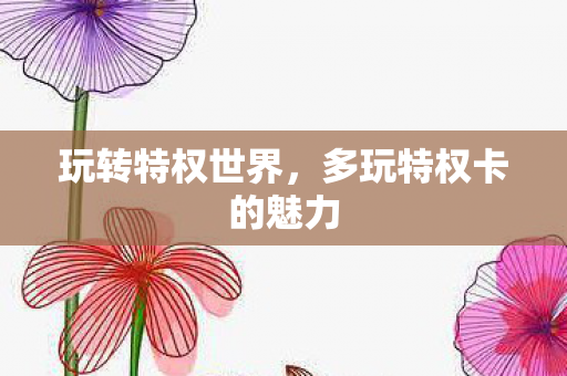 玩转特权世界，多玩特权卡的魅力
